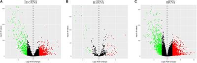 Identification of RNA Transcript Makers Associated With Prognosis of Kidney Renal Clear Cell Carcinoma by a Competing Endogenous RNA Network Analysis